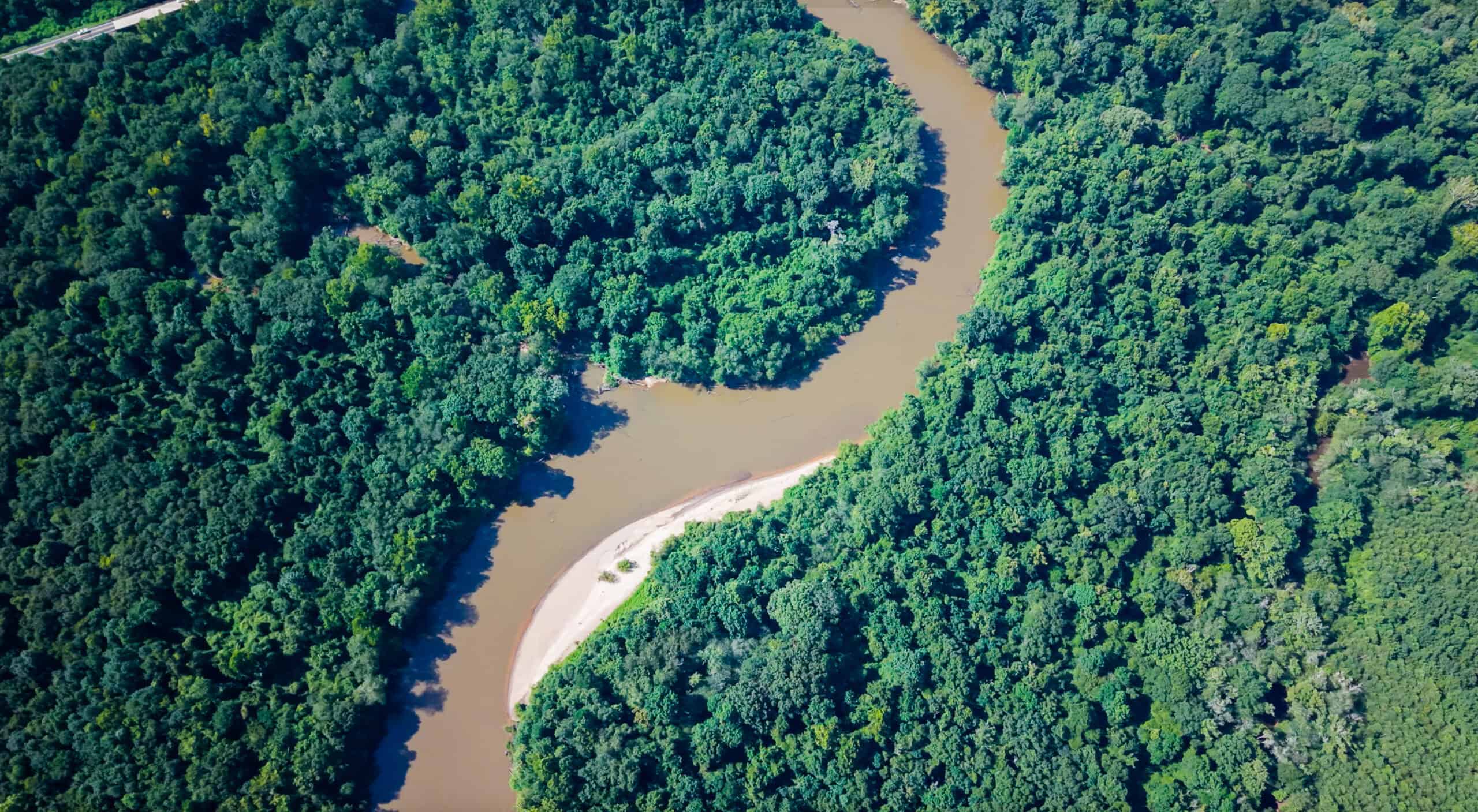 224.56 Acres | Buck Creek 224 | Montezuma, GA